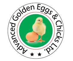 ADVANCE GOLDEN EGGS &CHICKS LTD.