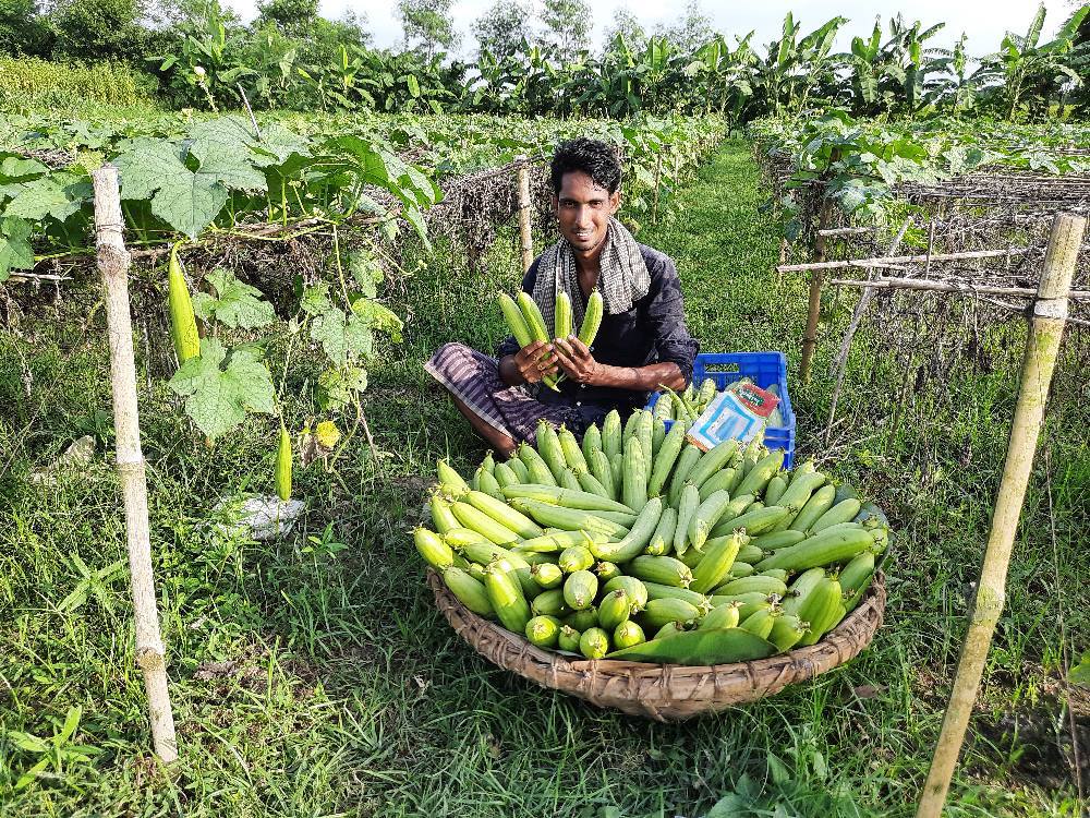 Md. Sajib Hossain