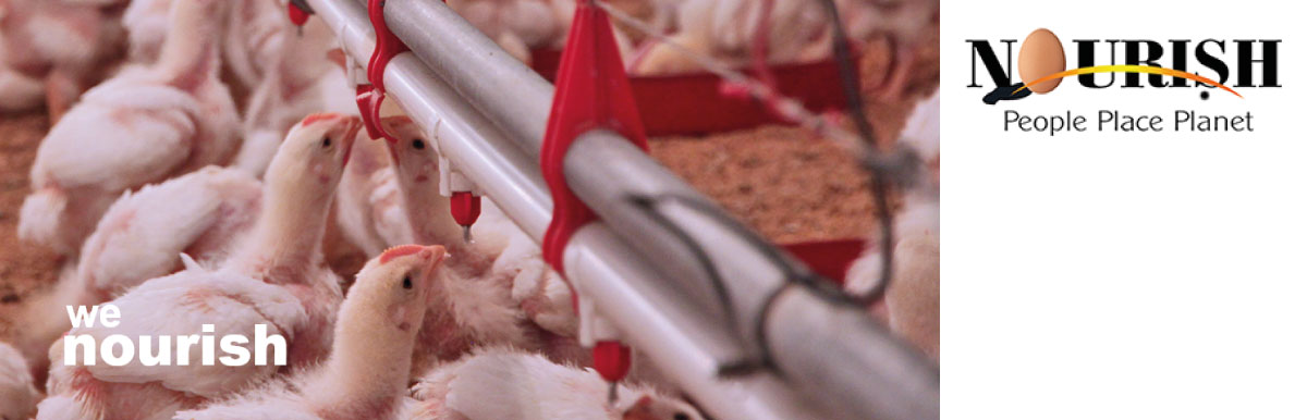 banner-image