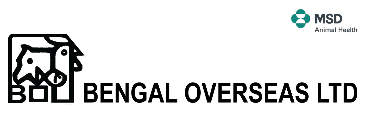 banner-image