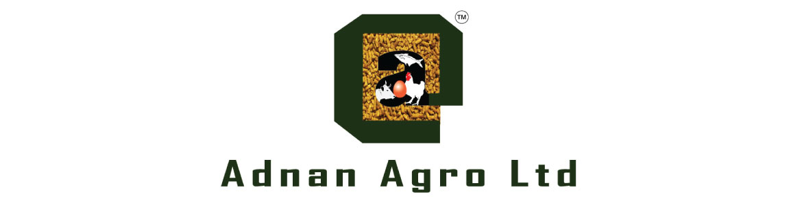 banner-image