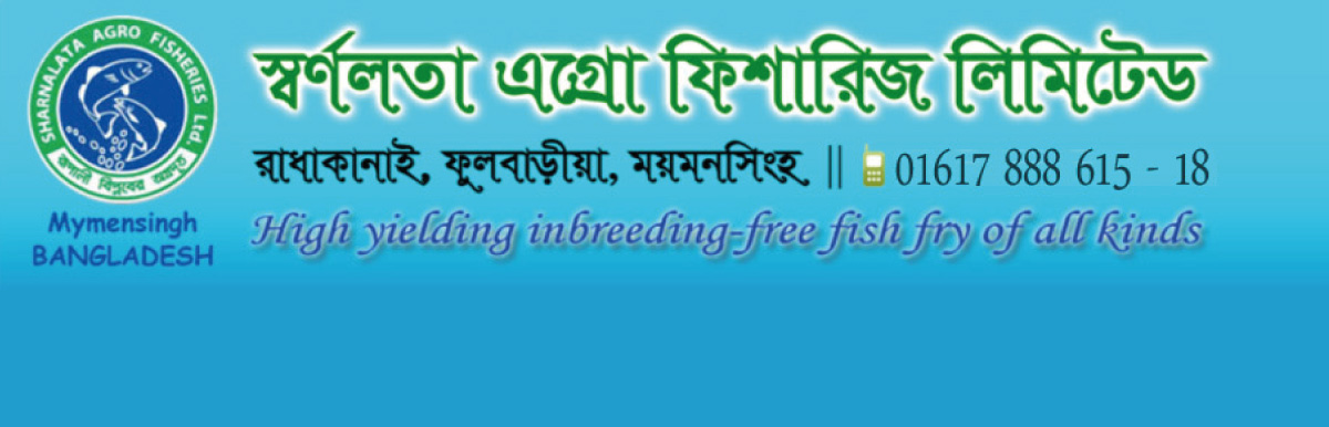 banner-image
