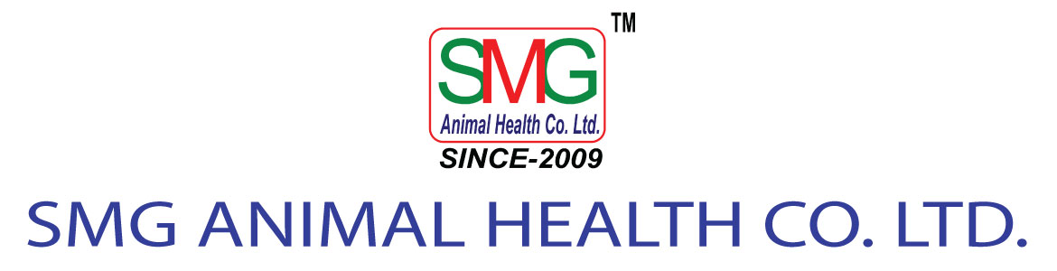 banner-image