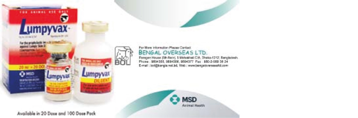 banner-image