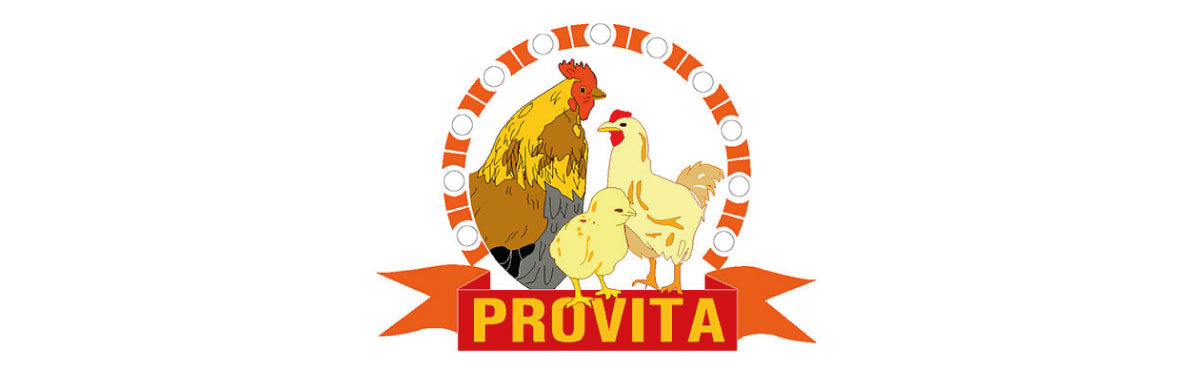 banner-image