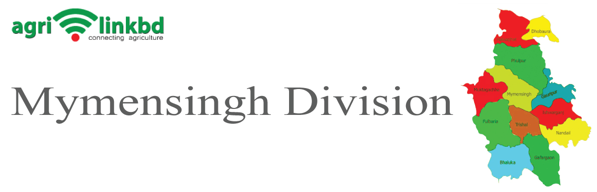 banner-image