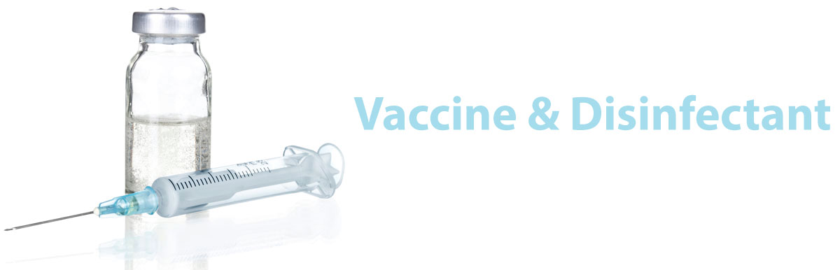 banner-image
