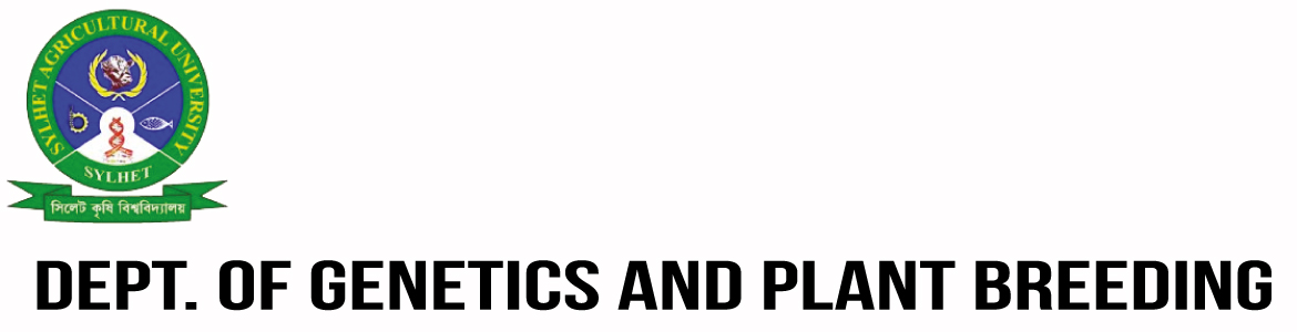 banner-image