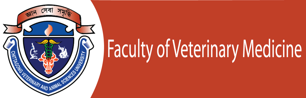 banner-image