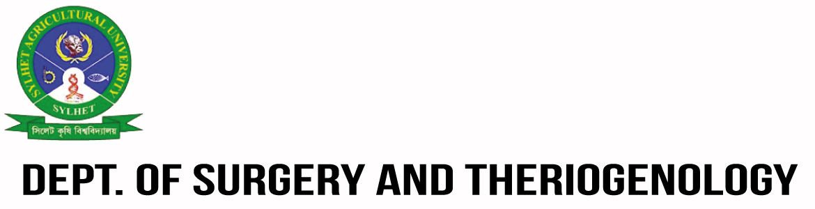 banner-image