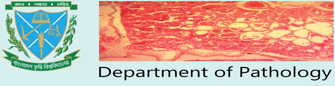 banner-image