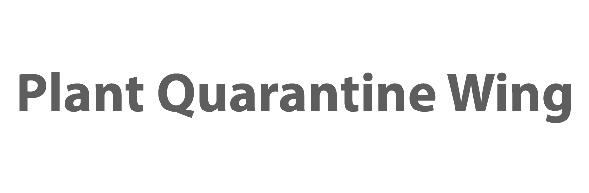 banner-image