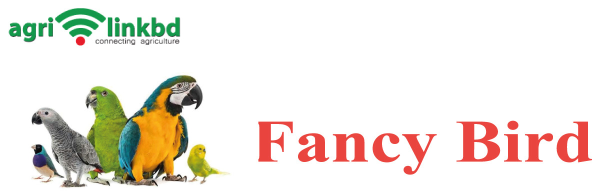 banner-image