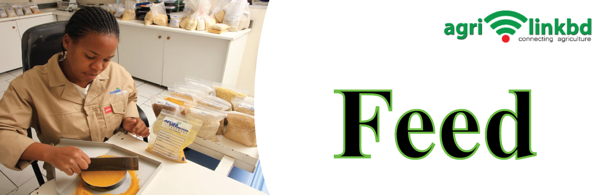 banner-image