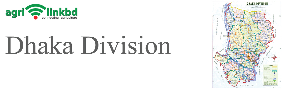 banner-image