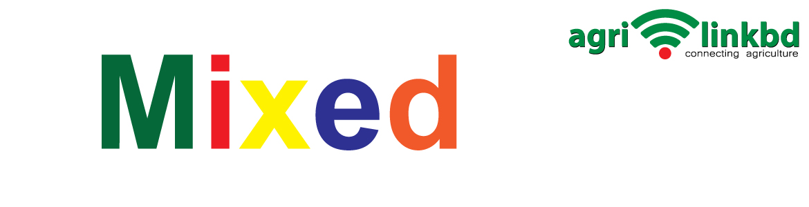 banner-image