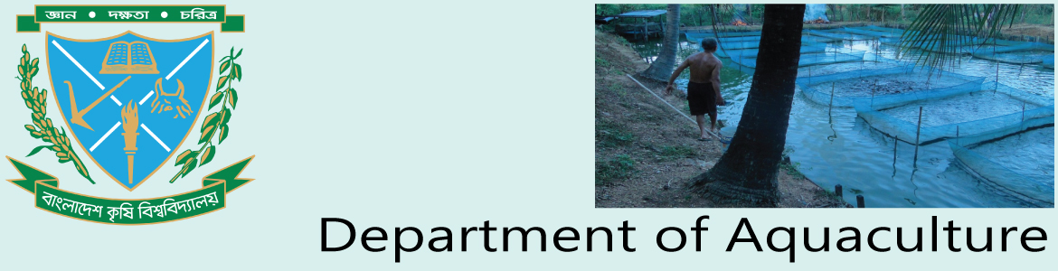 banner-image