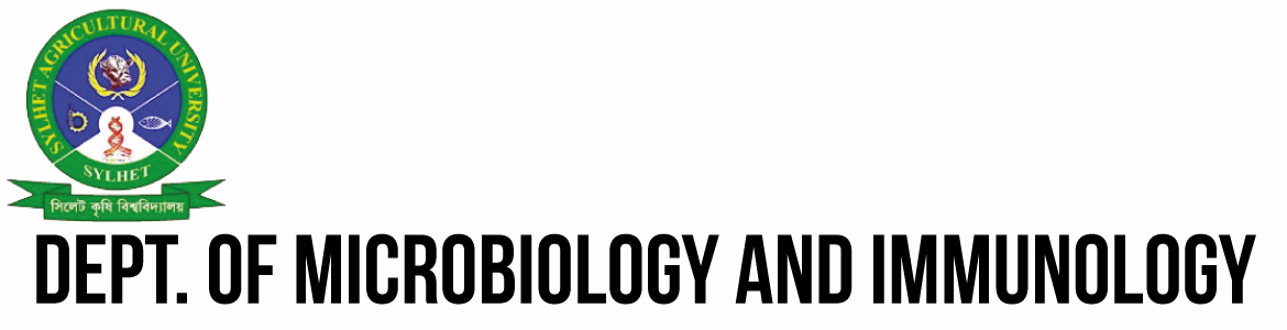 banner-image