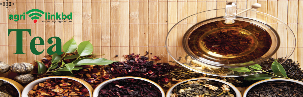 banner-image