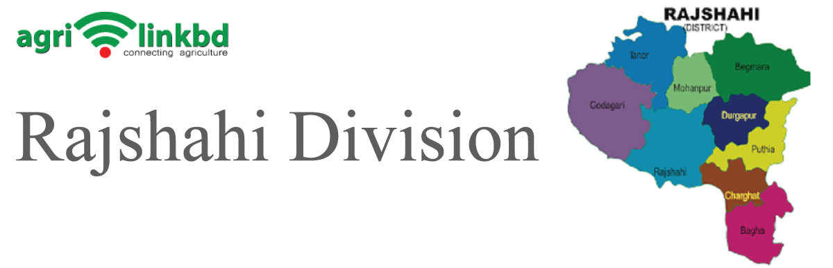 banner-image