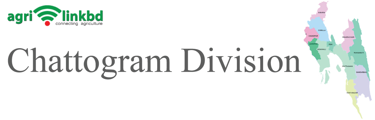 banner-image