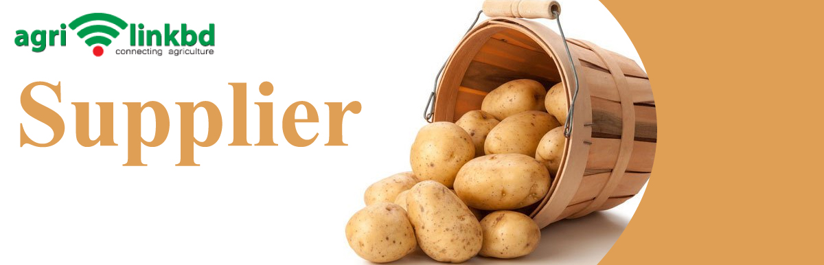 banner-image