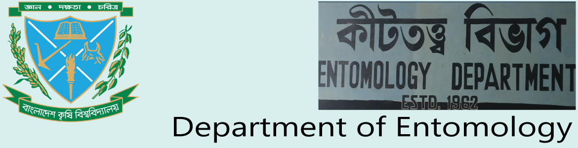 banner-image