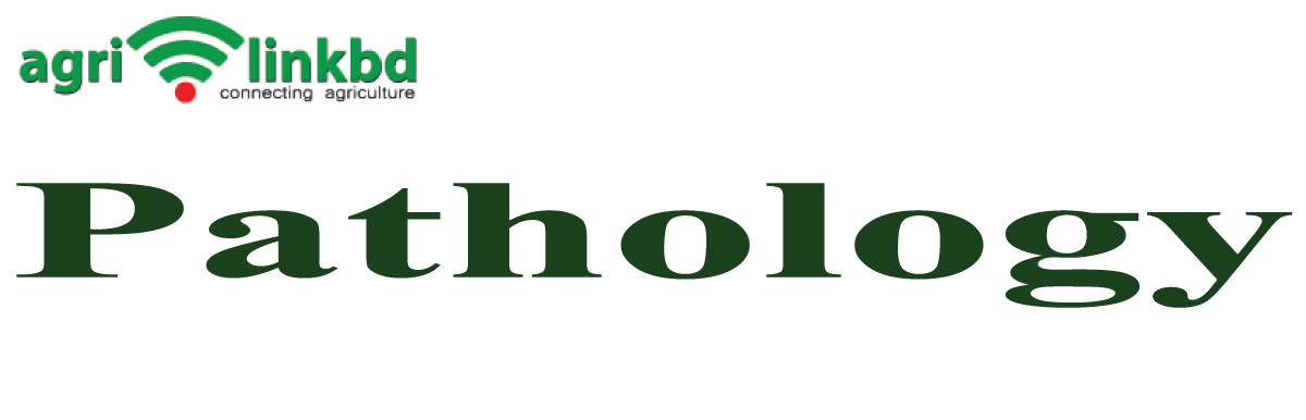 banner-image