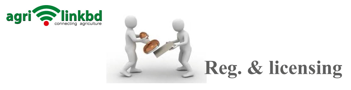 banner-image
