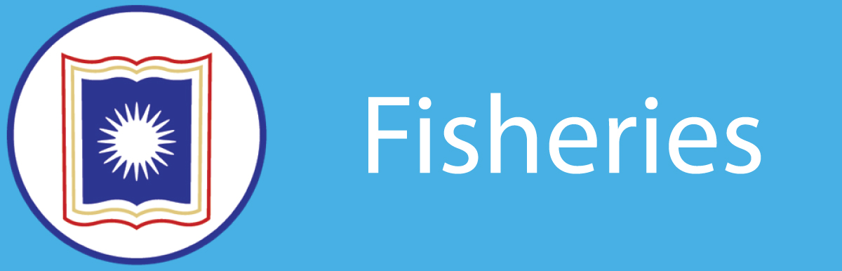 banner-image