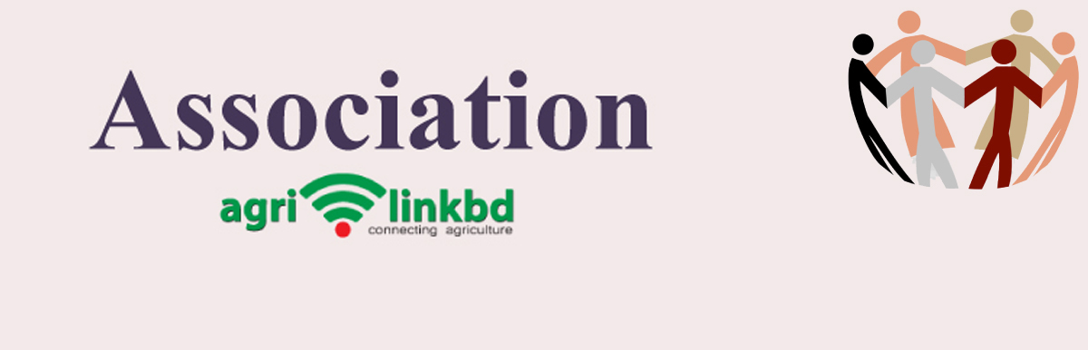 banner-image
