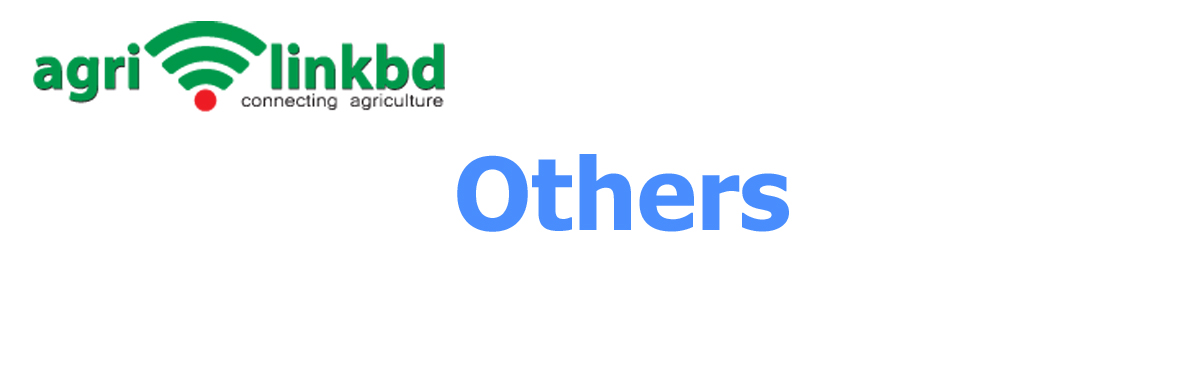 banner-image
