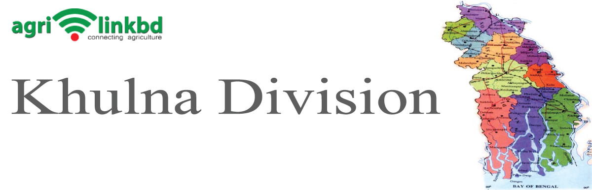 banner-image
