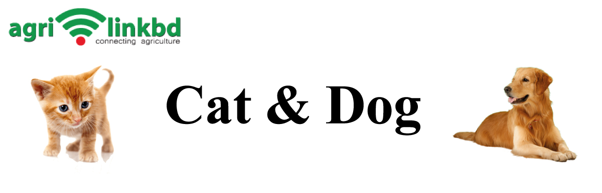banner-image