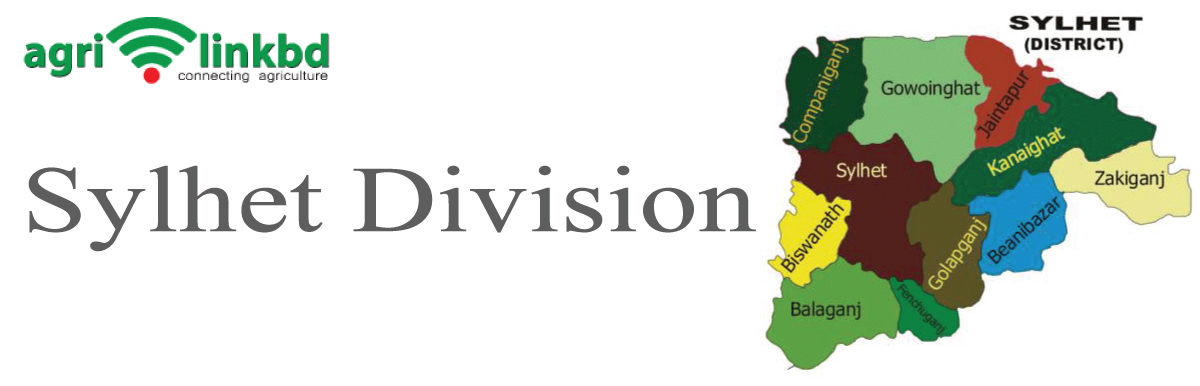 banner-image