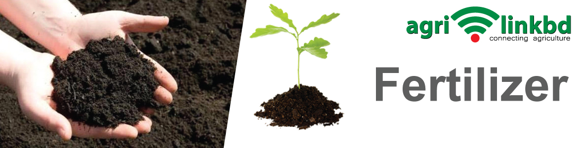 banner-image