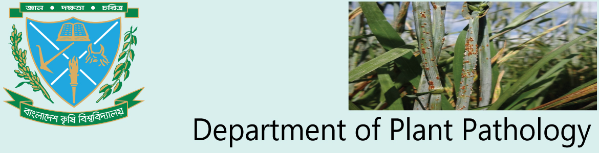 banner-image