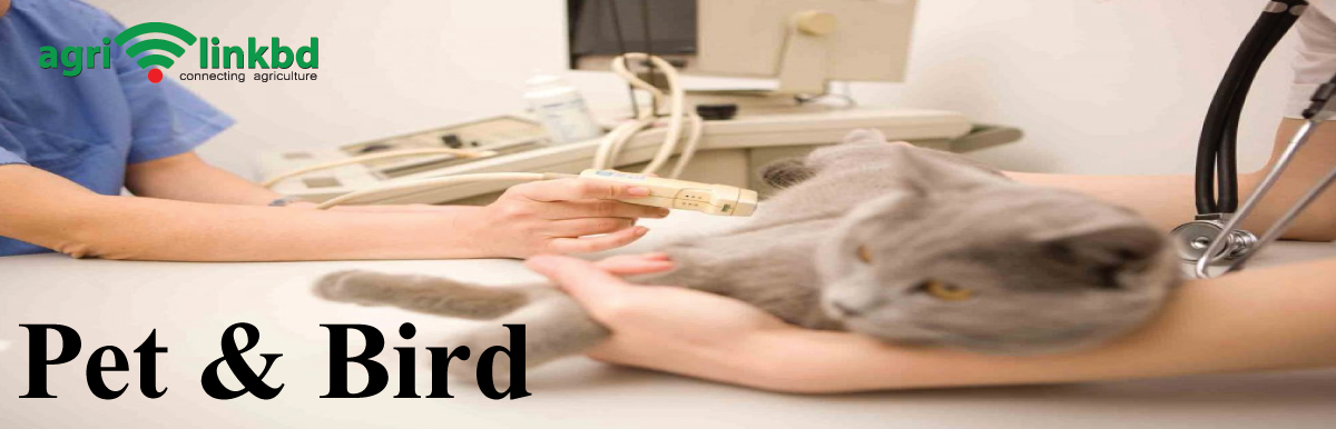 banner-image