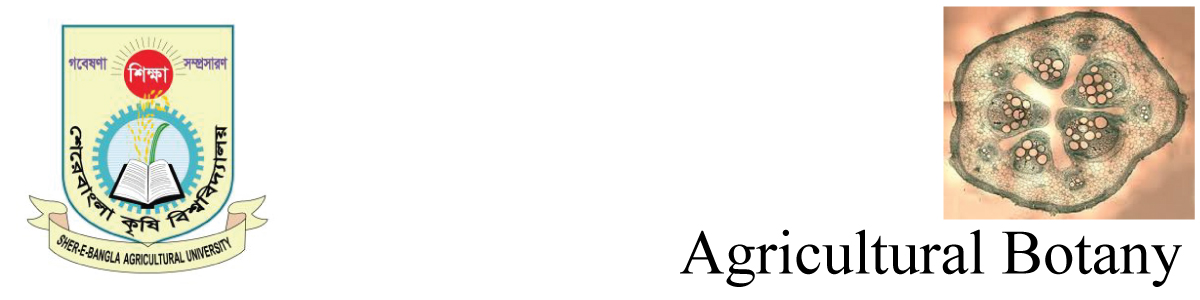 banner-image