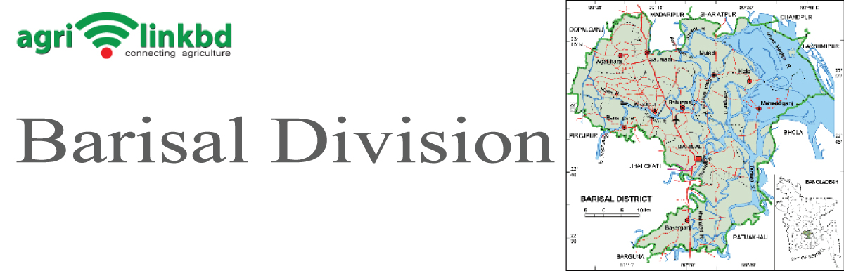 banner-image