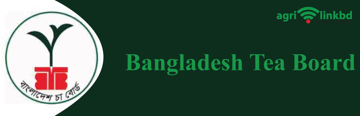 banner-image