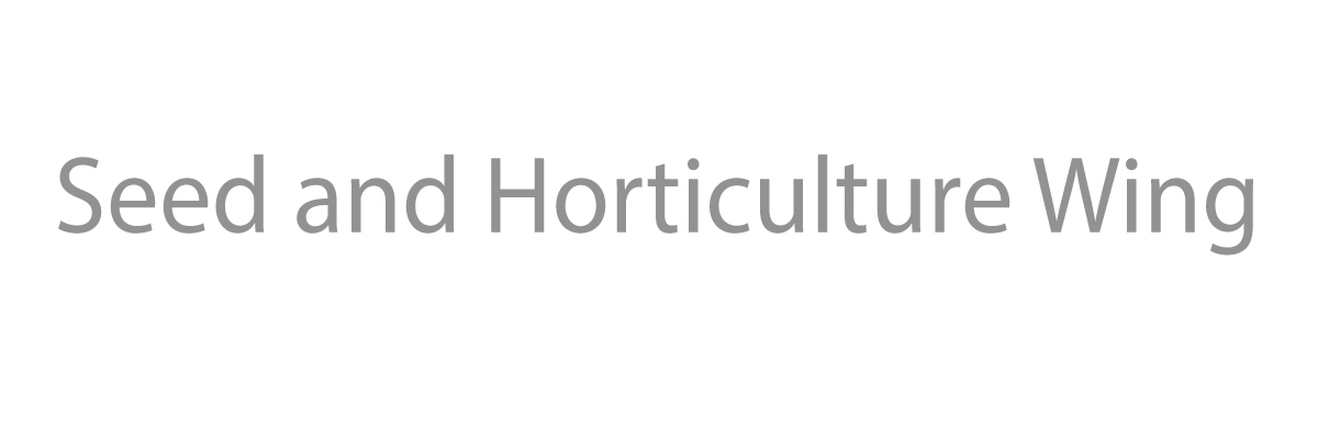 banner-image