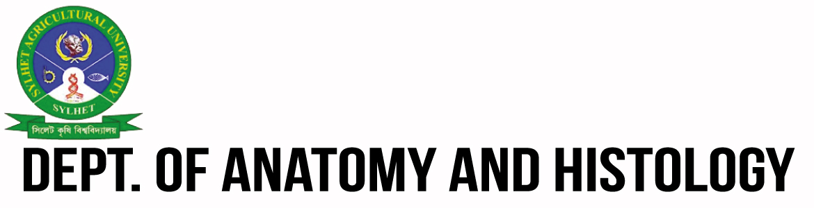 banner-image