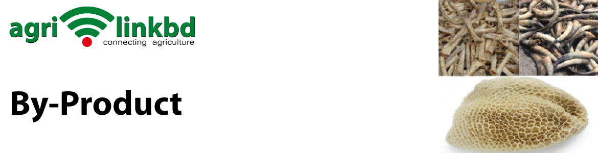 banner-image