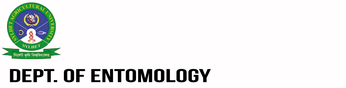 banner-image