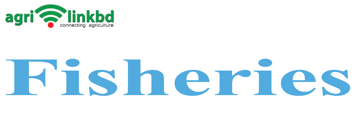 banner-image