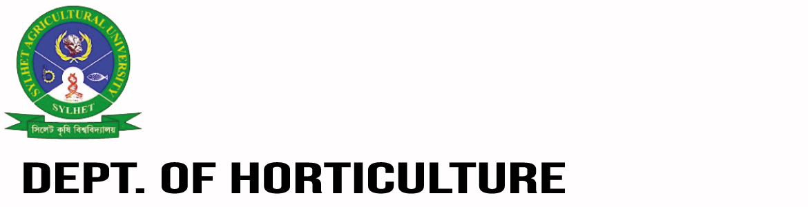 banner-image