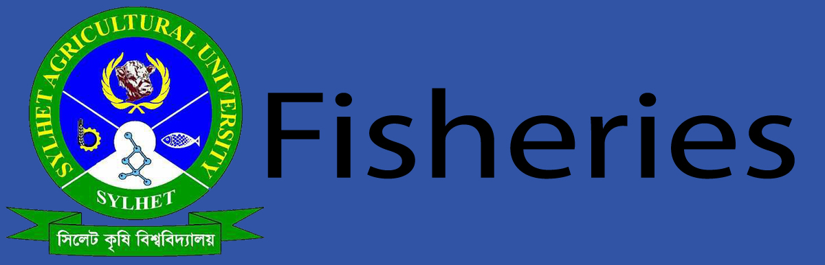 banner-image