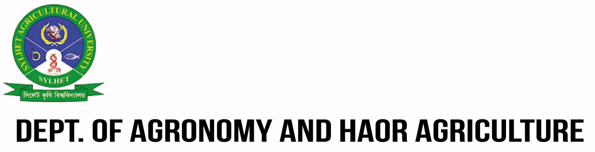 banner-image