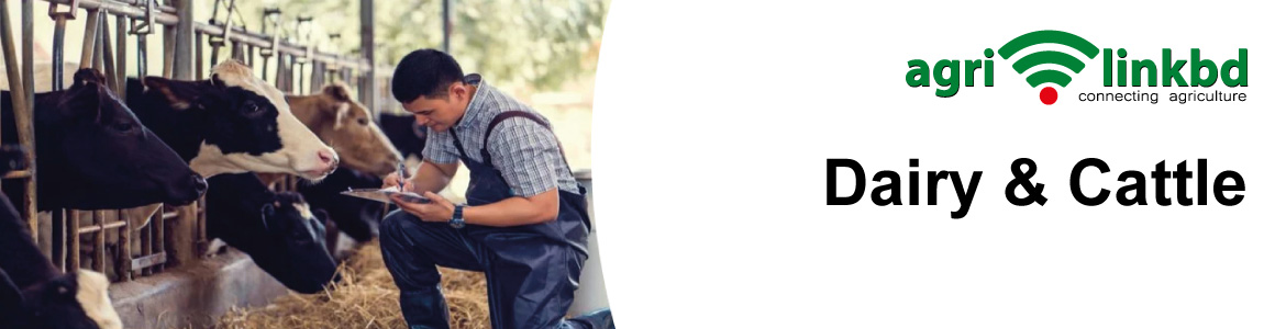 banner-image